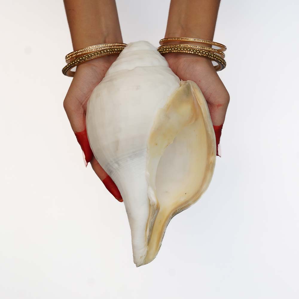 D ( 15- 16 inch), W ( 1500 - 1800 g)