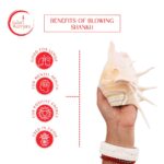 Panchmukhi Shankh - Image 6