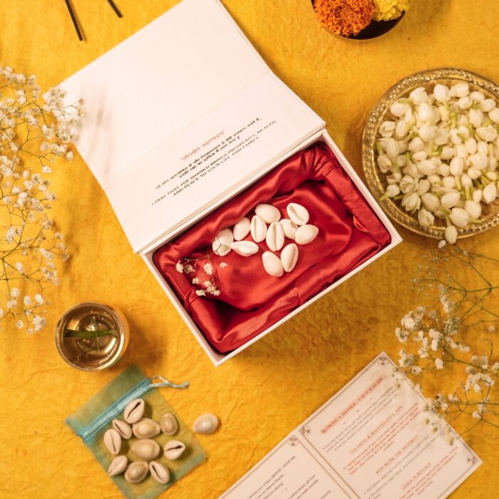 2 Natural Kaudi (11 pcs) - Image 1