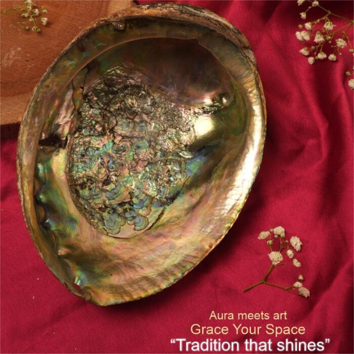 20 - Copy Abalone Seep - Image 2