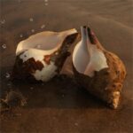 Under The Rocks (Pair 1)