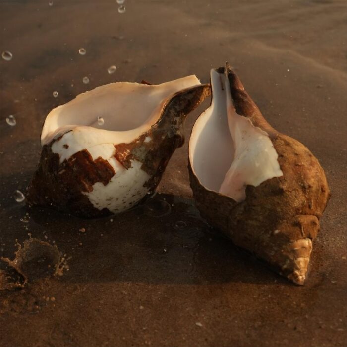pair 1 - Copy Under The Rocks (Pair 1) - Image 1