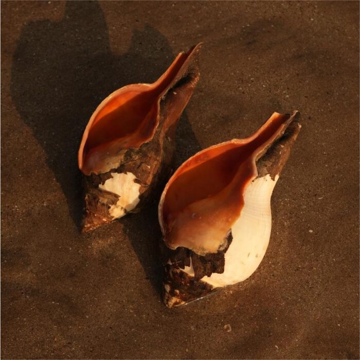 pair 2-01 - Copy Under The Rocks (Pair 2) - Image 1