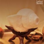 Foldable Wooden Stand - Image 2