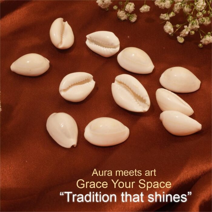 05 - Copy White Kaudi (11 pcs) - Image 3