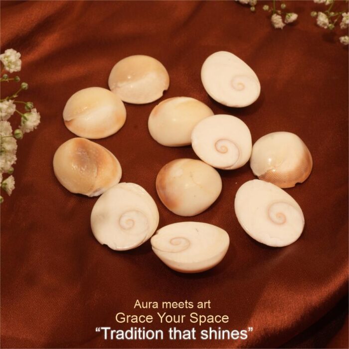 07 - Copy Yellow Gomti Chakra (11 pcs) - Image 3