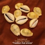 Yellow Kaudi (11 pcs) - Image 3