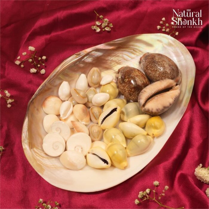 16 - Copy Fortune Kit (36 nos) - Image 2