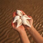 Vishnu - Puja Shankh Kit (5 Medium pcs) - Image 2