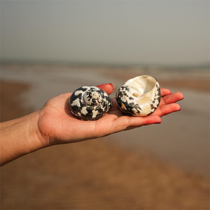 Black Turbo Kit (Pair) - Image 2