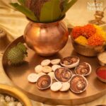 Gomti Chakra Kit (16 nos) - Image 2