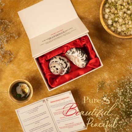 Black Turbo Kit (Pair)