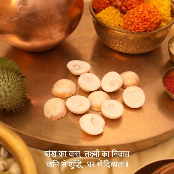 gomti chakra small - Copy Yellow Gomti Chakra (11 pcs) - Image 4
