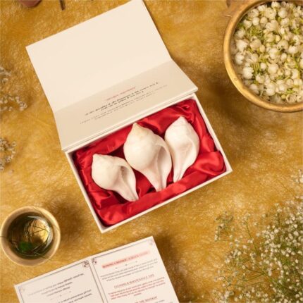 Vishnu - Puja Shankh Kit (3 Large pcs)