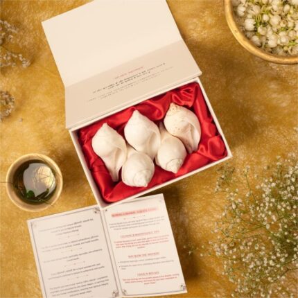 Vishnu - Puja Shankh Kit (5 Medium pcs)