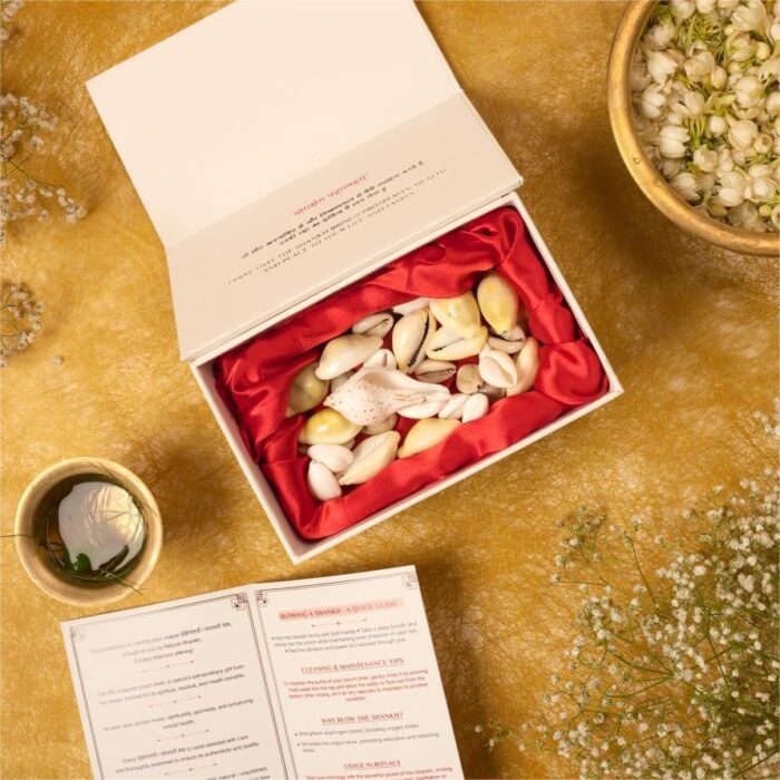 wealth kit 34 - Copy Wealth Kit (34 nos) - Image 1
